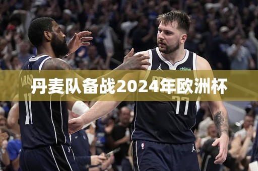 丹麦队备战2024年欧洲杯